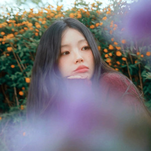 Dear Our Days by Byeol Eun