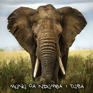 Munu oa Ndumba cover