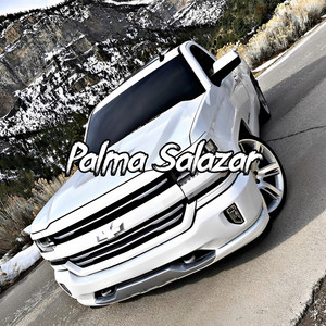 Palma Salazar