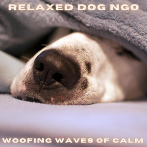 Woofing Waves of Calm by Relaxed Dog NGO