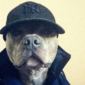Vivelo Perro by Bateria $eria Beats, ChapaStyle420