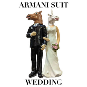 Armani Suit Wedding by DesiKidd