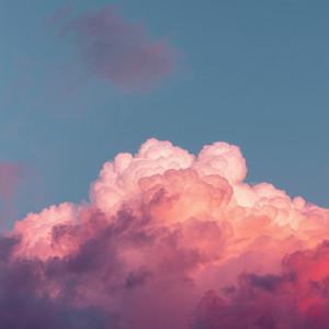 Cover art: Alla Vienen