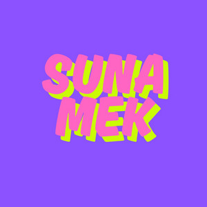 Rulay by Sunamek