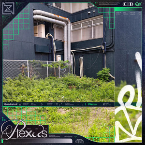 album cover: Plexus