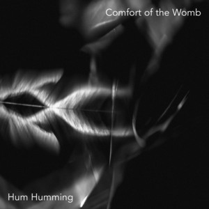 Comfort of the Womb