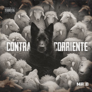 Mr.D & Effettobeatz - Contra Corriente