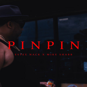 PINPIN by Estee Nack, Mike Shabb