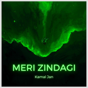 Meri Zindagi