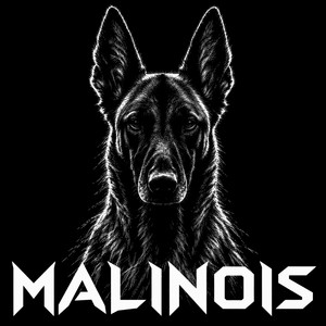 Malinois by Roy Stone