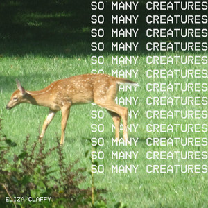 So Many Creatures
