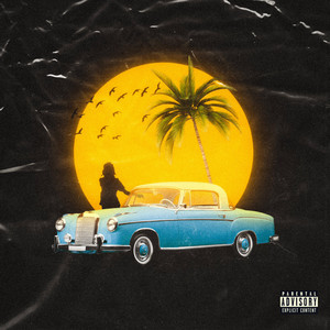 Portada de Treatment