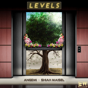 Levels by Angemi, Shiah Maisel