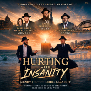 Hurting With Insanity by Mendy J, Leibel Lazaroff
