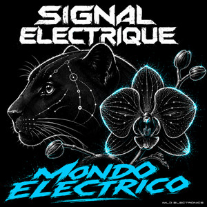 MONDO ELECTRICO cover art
