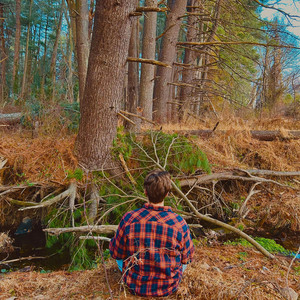 Pine Tree Appreciation Freestyle by Charlie Norwood
