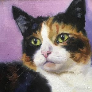 O$cALICO by Lil Felinesse