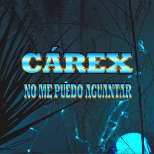 No Me Puedo Aguantar by Cárex