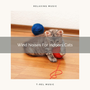 Wind Noises For Indoors Cats album