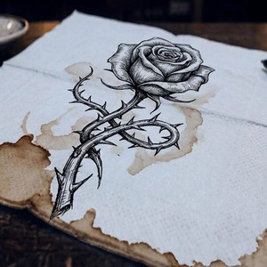 Rose by Siuyh