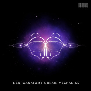 Synaptic Pruning by Brain Floss