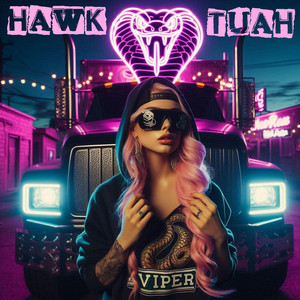 Hawk Tuah
