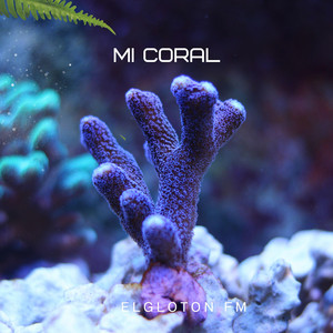 MI CORAL by Elgloton Fm