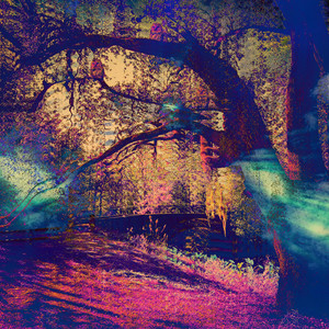 Supernow by Houseplant