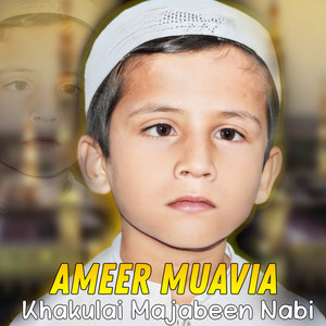 Ameer Muavia - Khakulai Majabeen Nabi