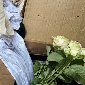 Flowers by TYM