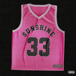 SUNSHINE BENZI - Scottie Pippen