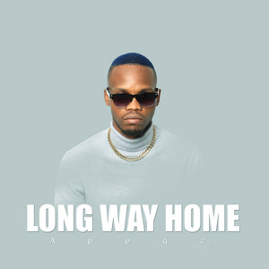 Long Way Home by Apeqz