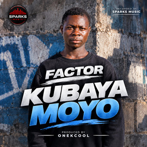 Factor (Kubaya moyo) by Dj Sparks Zw
