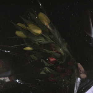 Mıxed Feelings by kayé