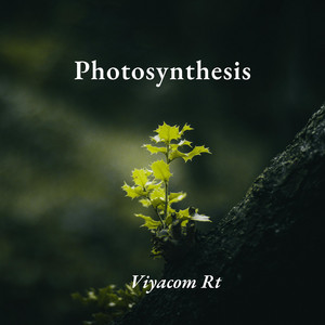 Photosynthesis by Viyacom Rt