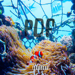 BasicELi - Findingnemo Introduction