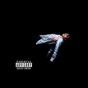 NIE NOSZE VLONE by kraash, starfinesse