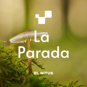 LA PARADA by EL NITUS