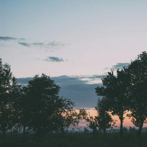 hushed miles by Lenny Loops, Allem Iversom