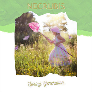 Spring Generation