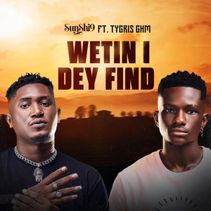Wetin I Dey Find (feat. Tygris GhM)