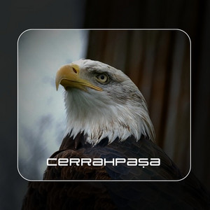 Cerrahpaşa by ARØV