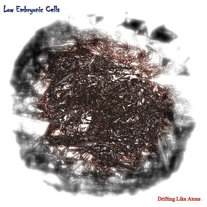 Drifting Like Atons by Low Embryonic Cells