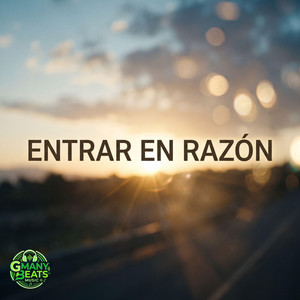 Entrar En Razón by Gmany Beats Music