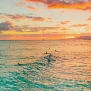 Tropical Morning Flow by Eduard Prost