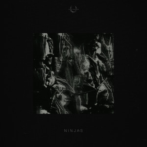 Ninjas artwork