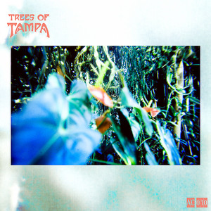 Samba Iyá - Soma Soul's Samba Soul Mix Edit by Trees of Tampa, Soma Soul