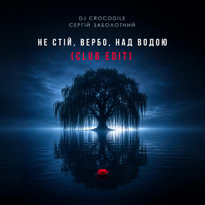 Не стій вербо над водою (Club Edit) by Dj Crocodile, Сергій Заболотний