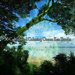 !!!! 36 Calculated Calming Ocean Zen Tracks !!!! album