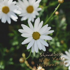 Shineboys - ปีใหม่โดยปราศจากฉัน (Speed Up)